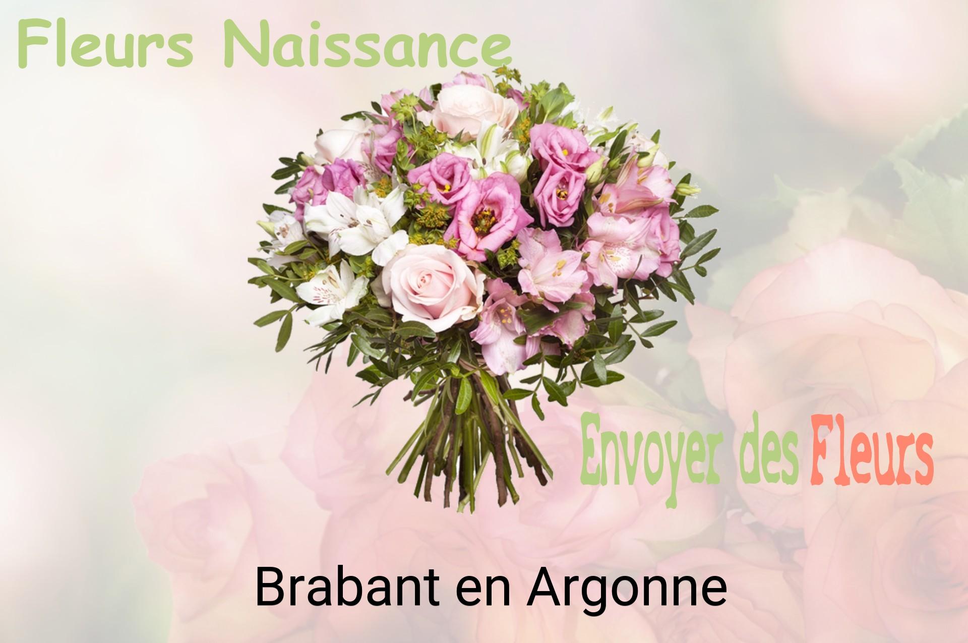 Bouquet de fleurs de naissance livré à Brabant-en-Argonne