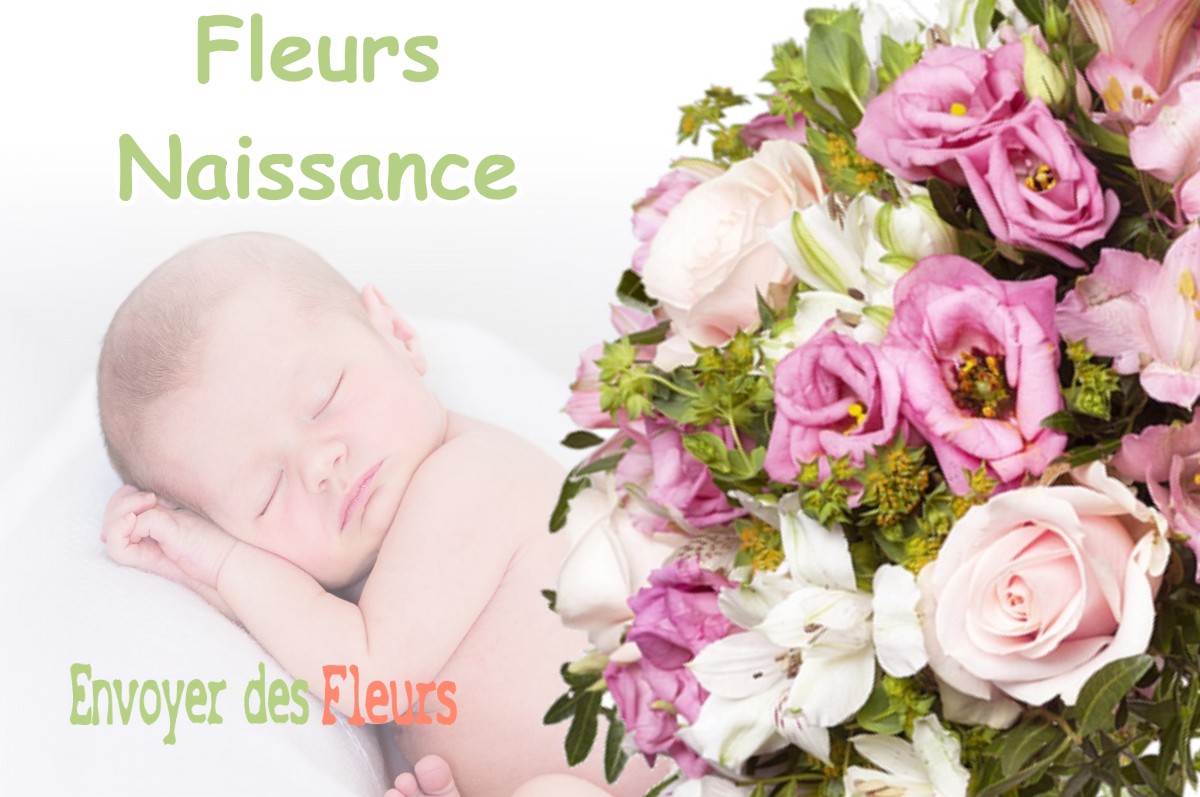 lIVRAISON FLEURS NAISSANCE à BRABANT-EN-ARGONNE